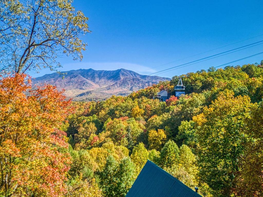 Four Bears Den Villa Gatlinburg Buitenkant foto
