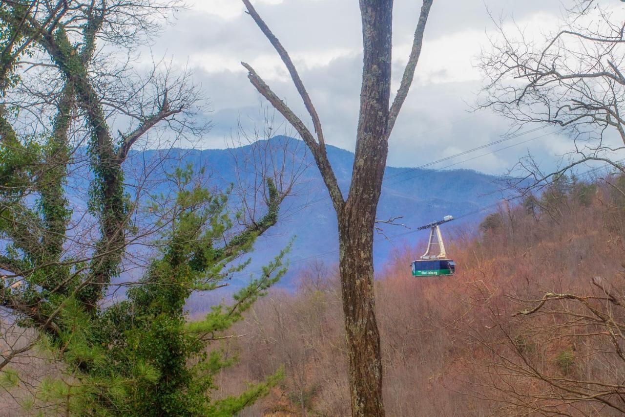 Four Bears Den Villa Gatlinburg Buitenkant foto